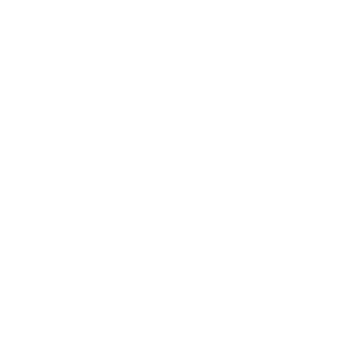 Empresa participante