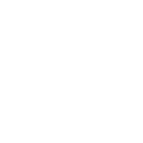 Empresa participante