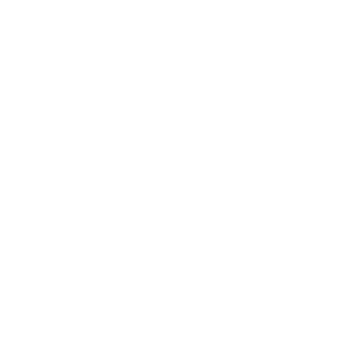 Empresa participante